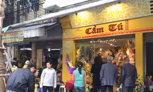 Hoa tươi giữ giá cao dù ngày 8/3 trời mưa rét