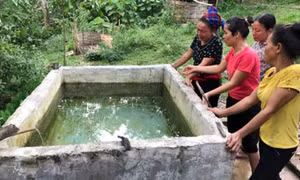 Hai anh em ruột chết đuối thương tâm trong bể nước sinh hoạt