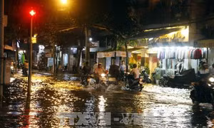 Vỡ bờ bao chống lũ, hàng chục hộ dân ở Cần Thơ mất trắng tài sản