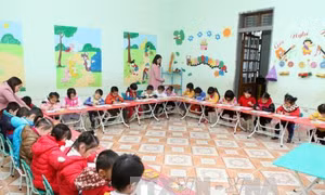 Cắt hợp đồng đối với giáo viên mầm non dùng đũa đánh thâm đùi trẻ
