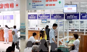 Hà Nội tuyển đặc cách 10 cá nhân xuất sắc vào Sở Y tế