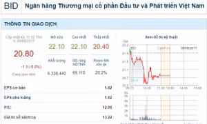 TP Hồ Chí Minh