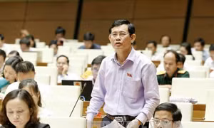 Nguyên nhân nợ xấu: Vay vốn kinh doanh mạo hiểm, mua xe sang để đi