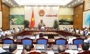 Cơ cấu lại các tổ chức tín dụng và xử lý nợ xấu