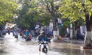 Triều cường dâng cao kỷ lục ở Bạc Liêu nhưng không gây thiệt hại như tin đồn