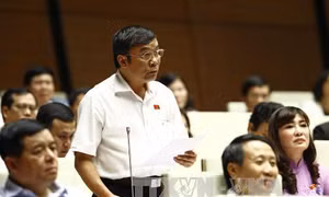 Làm rõ hơn việc cấp phép ca khúc, quy hoạch bán đảo Sơn Trà 