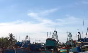 Bình Thuận cấm tàu ra biển từ 16 giờ ngày 23/12 