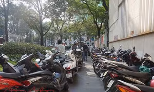 Thành phố Hồ Chí Minh