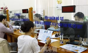 Sẽ xử lý một số đơn vị vi phạm đóng BHXH theo Luật Hình sự để làm gương