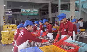 TP Hồ Chí Minh