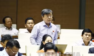 Nhiều ý kiến về miễn trách nhiệm hình sự đối với luật sư không tố giác tội phạm 