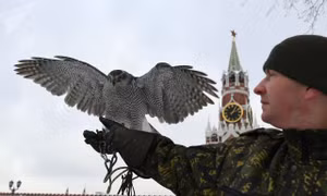 Đội ngũ lông vũ 'tinh nhuệ' bảo vệ Điện Kremlin