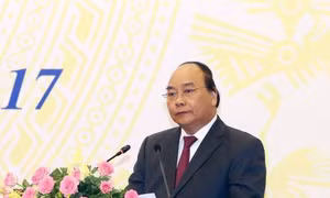 Thủ tướng yêu cầu xác minh thông tin vụ phá rừng phòng hộ ở Quảng Nam