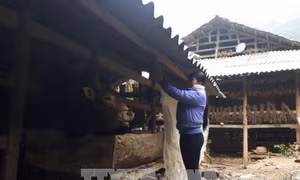 Cao Bằng: Người già, trẻ nhỏ đổ bệnh vì rét đậm, rét hại 