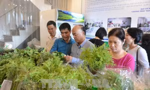 'Tuần lễ An toàn thực phẩm Tết 2018' giới thiệu đặc sản các vùng đến người dân Thủ đô