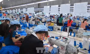 Tiến hành điều tra doanh nghiệp cả nước năm 2018