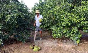 Góp sức xây dựng nông thôn mới trên quê hương cách mạng Cẩm Sơn