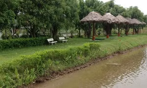 Thanh tra toàn diện dự án du lịch sinh thái Song Phương 