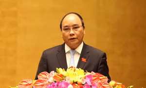 Hỗ trợ phòng chống bạo lực cho phụ nữ và trẻ em gái 