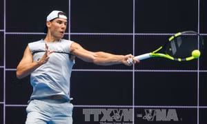 Nadal rút khỏi Davis Cup 2017 