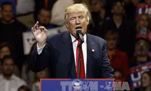 Ông Trump đã bán toàn bộ cổ phiếu từ trước bầu cử