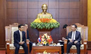 Phó Chủ tịch nước Lào Phankham Viphavanh thăm tỉnh Hòa Bình