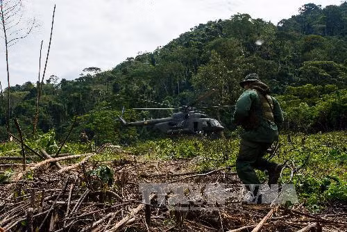 Venezuela bác tuyên bố của Mỹ về cuộc chiến chống ma túy ảnh 1