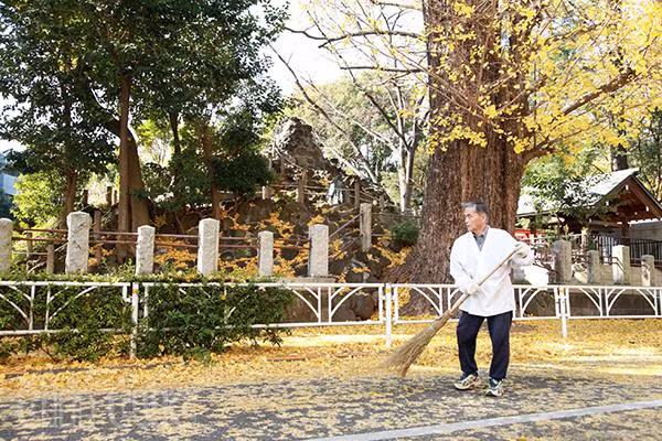 Tokyo – Bản giao hưởng cuối mùa thu ảnh 5