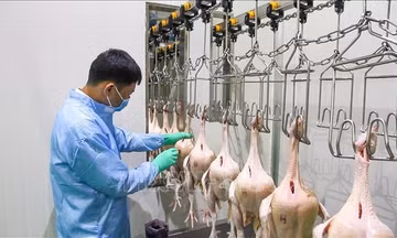 Đổi mới quản lý an toàn thực phẩm theo hướng phân tích nguy cơ
