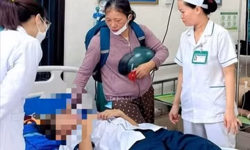 Quảng Trị: Hàng chục học sinh nhập viện do bị ong đốt