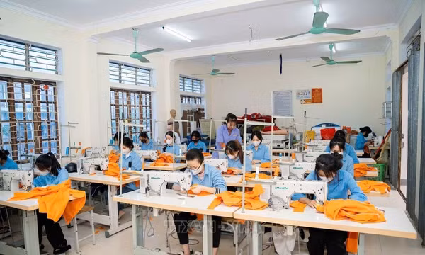 Có thể học nghề ngay tại doanh nghiệp, hợp tác xã, nơi sản xuất