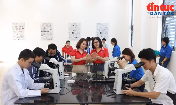 Đưa giáo dục đại học thành hạ tầng tri thức chiến lược quốc gia