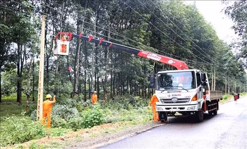 Gia Lai đảm bảo an toàn hành lang lưới điện