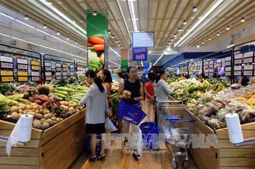 Satra và Saigon Co.op đồng loạt tăng nhiều tiện ích hai mô hình bán lẻ