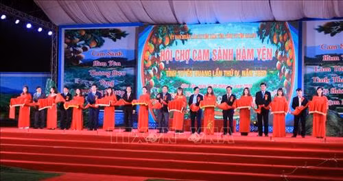 Tưng bừng Hội chợ cam sành Hàm Yên năm 2020