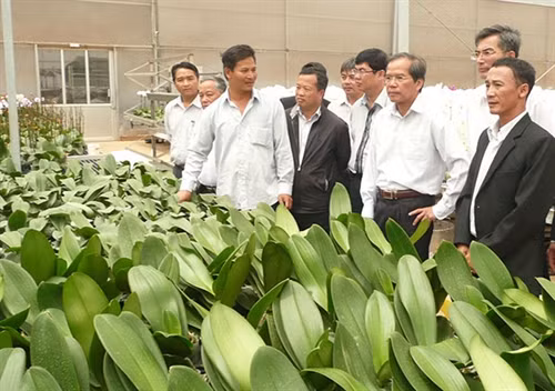 Tu Tra - Đơn Đương: Từ xã nghèo vươn lên làm giàu