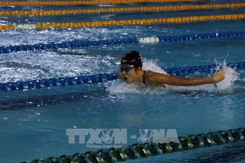 Kết thúc Giải Bơi – Lặn vô địch quốc gia năm 2017