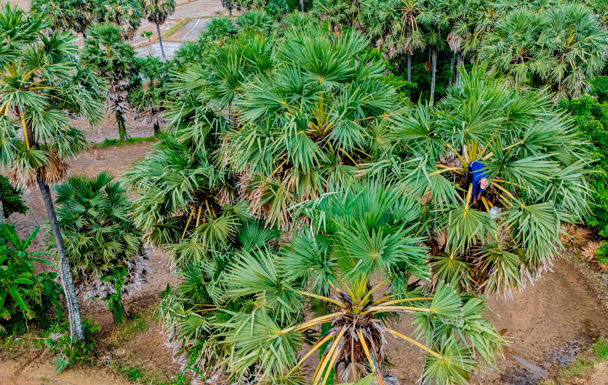 DJI_20240906091305_0020_D_TTXVN.jpg