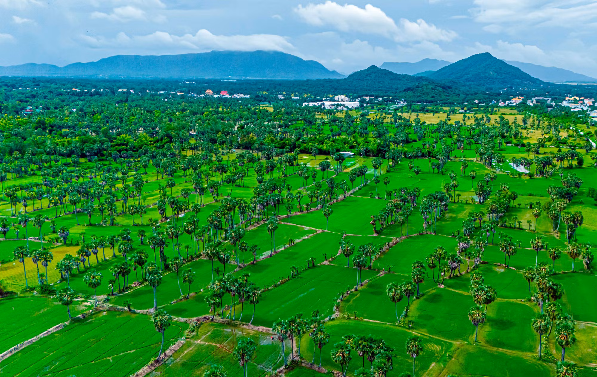 DJI_20240907095922_0067_D_TTXVN.jpg