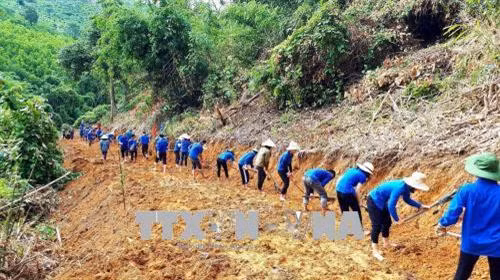 Tuổi trẻ Nghệ An mở đường lên bản Mọi