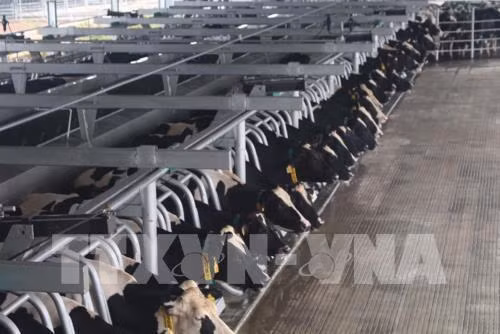 Nghệ An thu hút đầu tư hiệu quả vào nông nghiệp, nông thôn