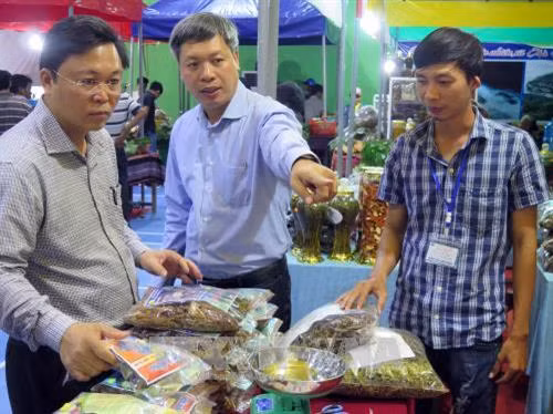 Lễ hội sâm Ngọc Linh tại Quảng Nam