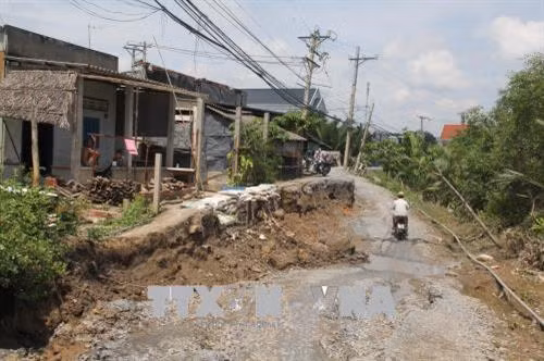 Sạt lở nghiêm trọng trên tuyến đê bao sông Vàm Cỏ (Long An)