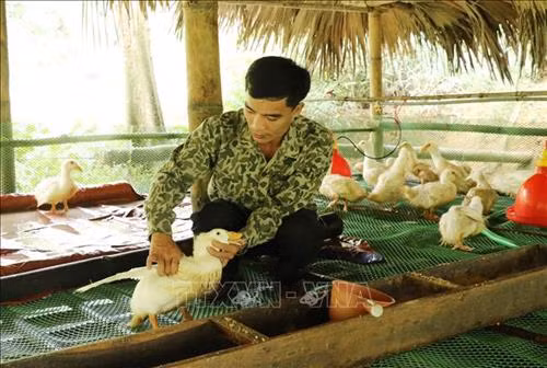 Hiệu quả từ mô hình giảm nghèo tại Thái Nguyên