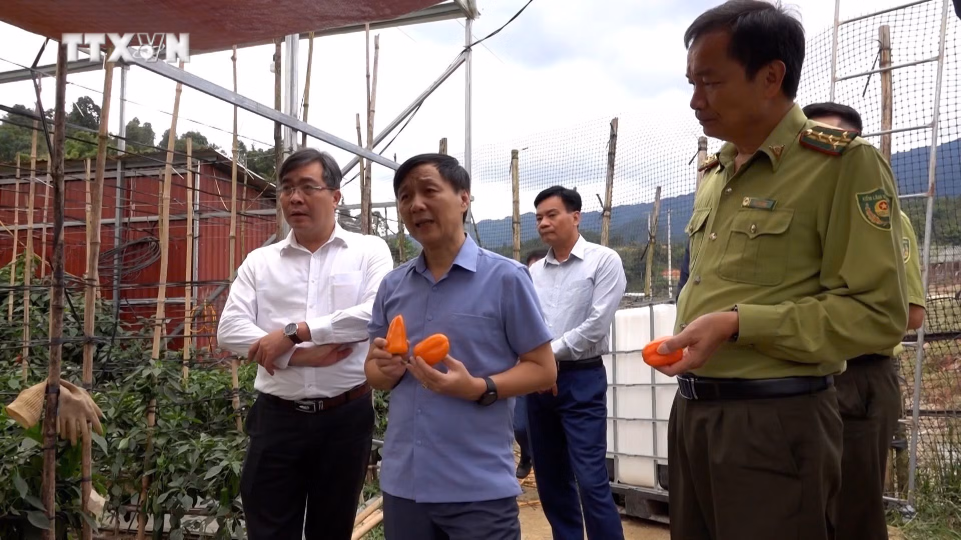 vna_potal_yen_bai_no_luc_giam_ngheo_ben_vung_7755153.jpg
