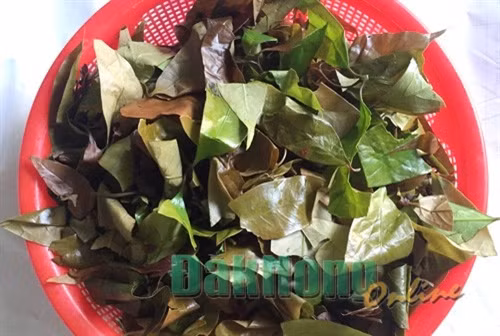Biăp pŭ – món ăn quen thuộc của người M’nông