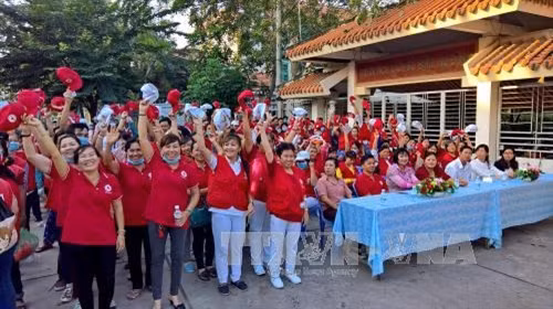 Thành phố Hồ Chí Minh: Đã có 9 phụ nữ mang thai nhiễm vi rút Zika