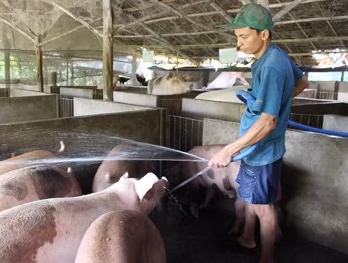 Tuổi trẻ khởi nghiệp, sáng tạo làm giàu