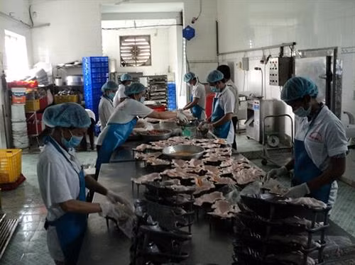 Trà Vinh đầu tư 700 tỷ đồng phát triển công nghiệp chế biến thực phẩm