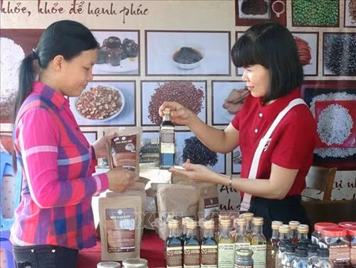 Phú Yên: Hội chợ ẩm thực – nơi trải nghiệm văn hóa vùng miền